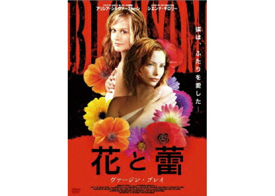 楽天ブックス 花と蕾 ヴァージン プレイ ステファニー シンクレア アリシア シルヴァーストーン Dvd 楽天ブックス 花と蕾 ヴァージン プレイ ステファニー シンクレア アリシア シルヴァーストーン Dvd